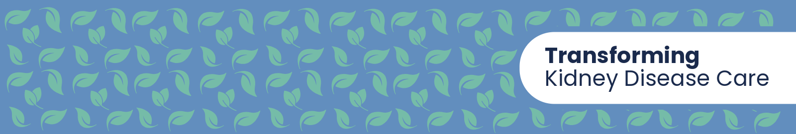 Transforming Kidney Disease Care